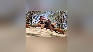Village Outdoor In Desi Aunty Outdoor Village Sex In Boy